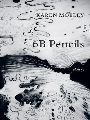 cover image of 6B Pencils